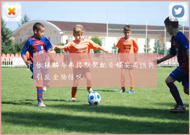 张镇麟与弗格默契配合锡安式挡拆引发全场惊叹